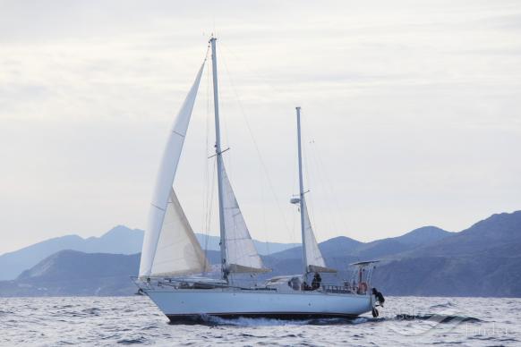 DESIRADE VIII photo