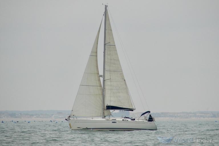 ANTHOCYNE photo