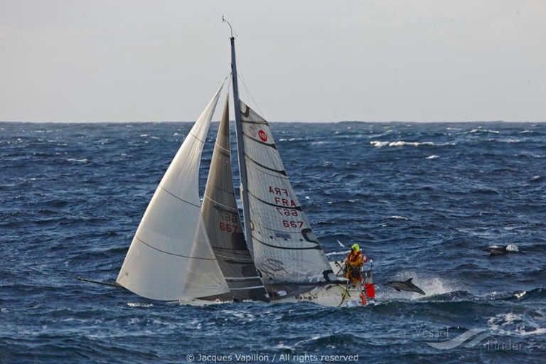 EVALUNA SOLOSAILOR photo