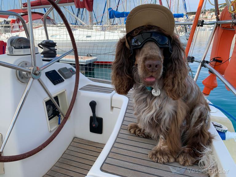 LOUVE DES MERS photo