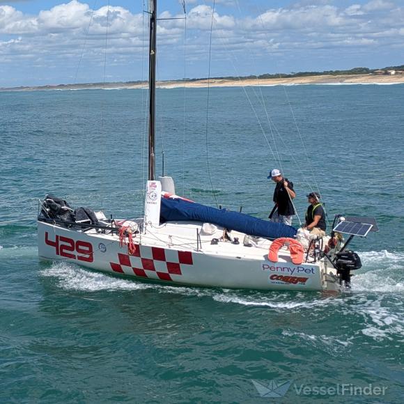 X FLR6 SOLO SAILOR photo