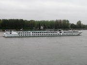 MS RENOIR