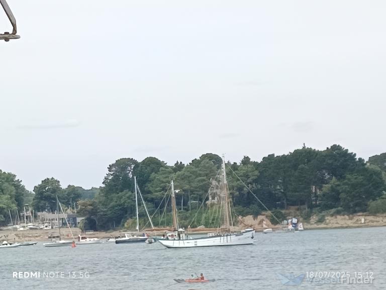 FLEUR DE LAMPAUL photo