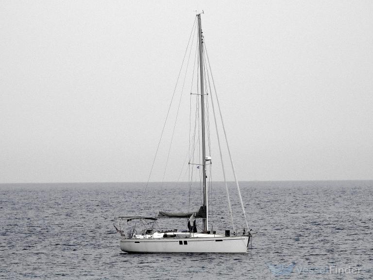 WILLIWAW photo