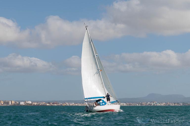 KIFKIF SOLO SAILING photo
