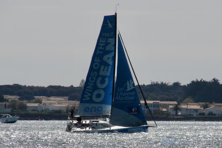 CALVIN SOLO SAILOR photo