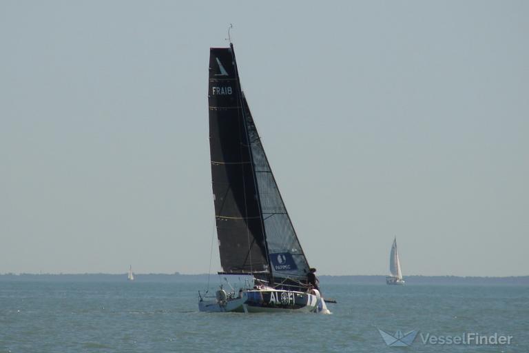 YUMAN SOLO SAILOR photo
