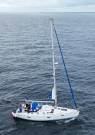 DELPHINUS