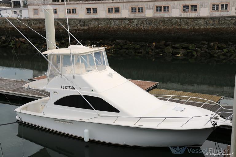 GUSTAVIA2 photo