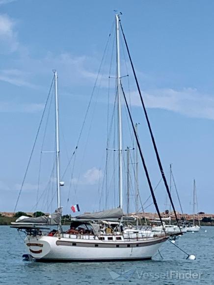 SENOIKI photo