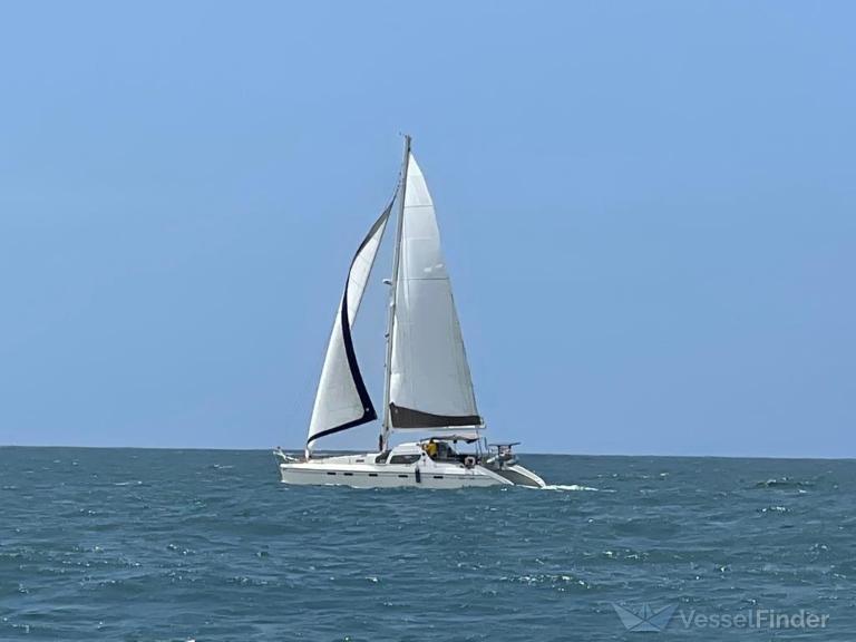 MALAU photo