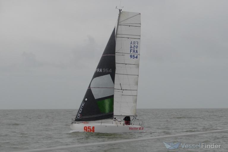 DOINA SOLO SAILOR photo