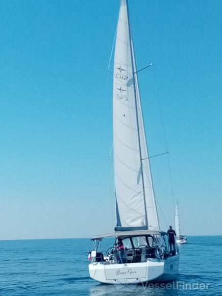 BOSSA NOVA photo