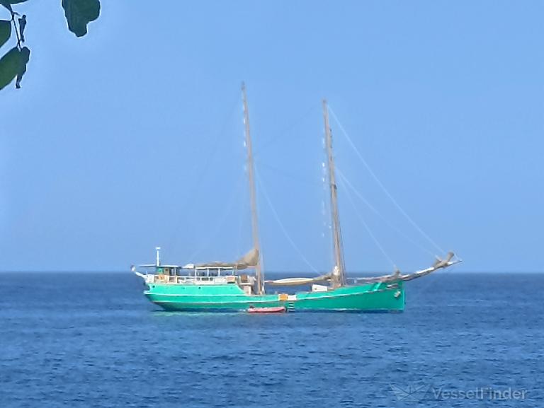 CYAN photo