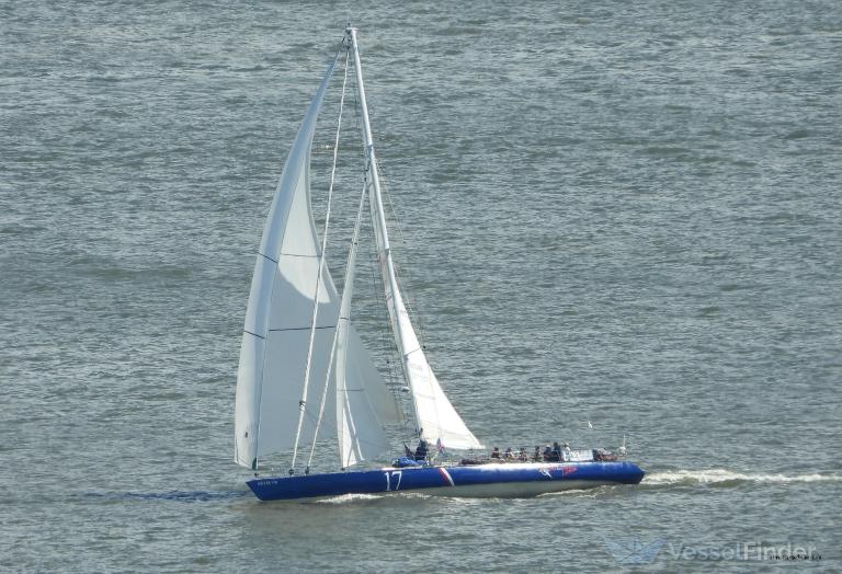 KRITER 8 SOLO SAILOR photo