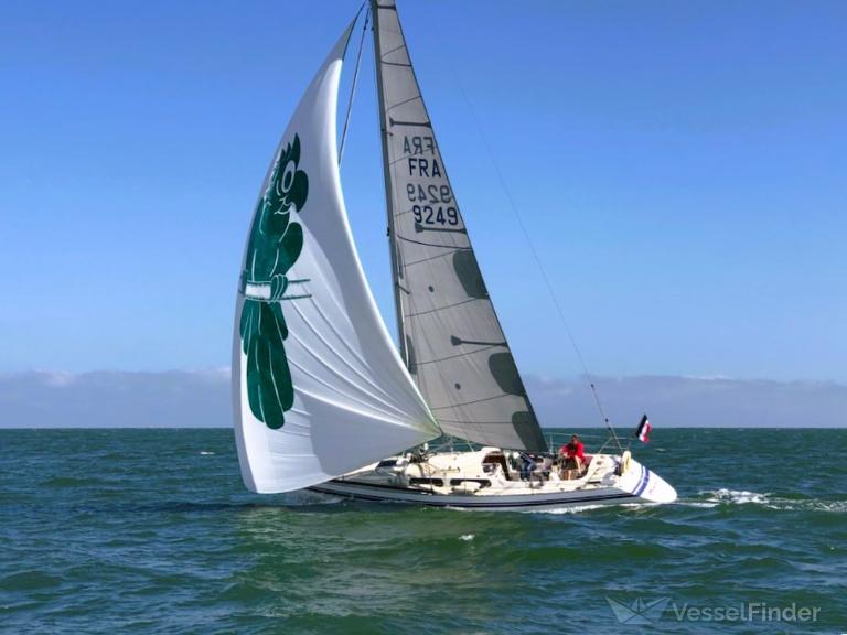 PERROQUET VERT photo