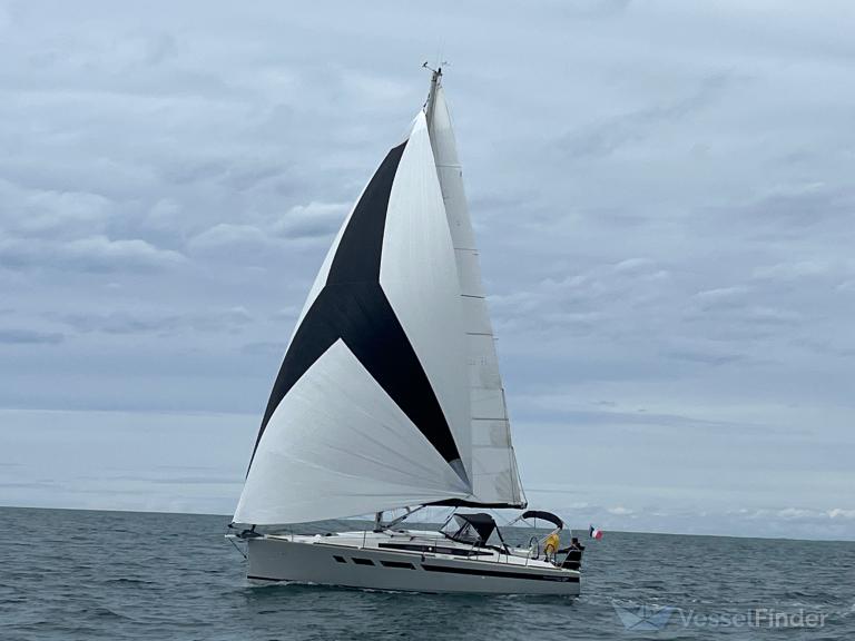 SEA-QUESTS photo