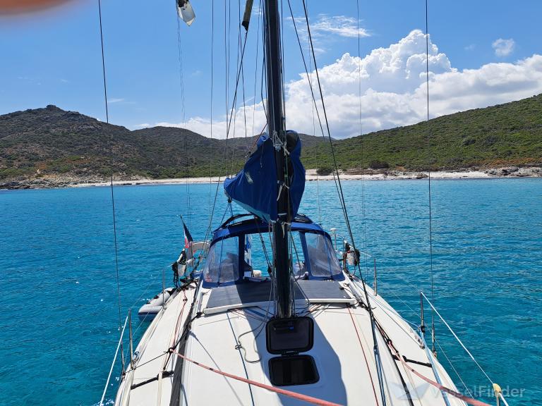 PURA VIDA photo