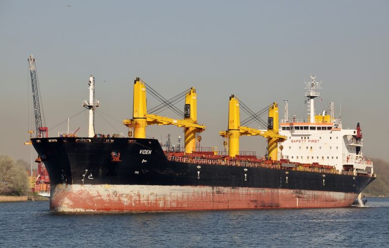 WHITE WANDERER photo