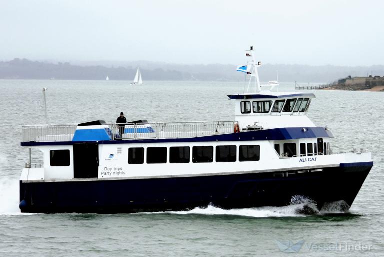 ALI CAT OF COWES photo