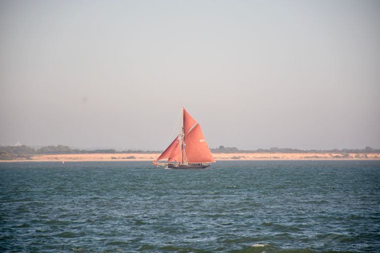 JOLIE BRISE photo