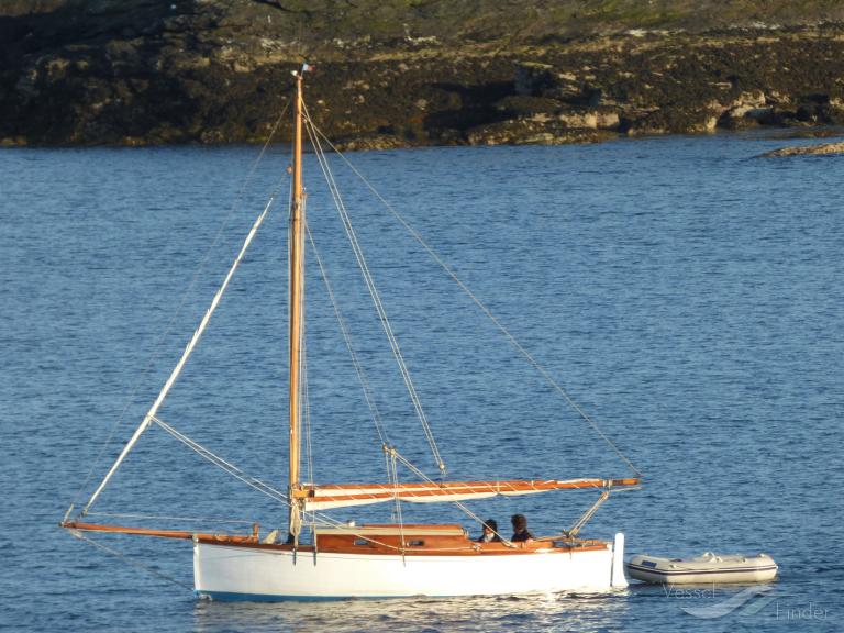 SHEARWATER photo
