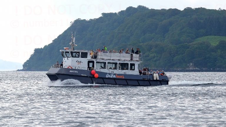 MV ANGUS photo