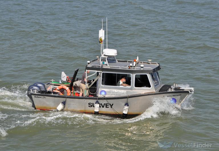 EXPRESS SURVEYOR photo