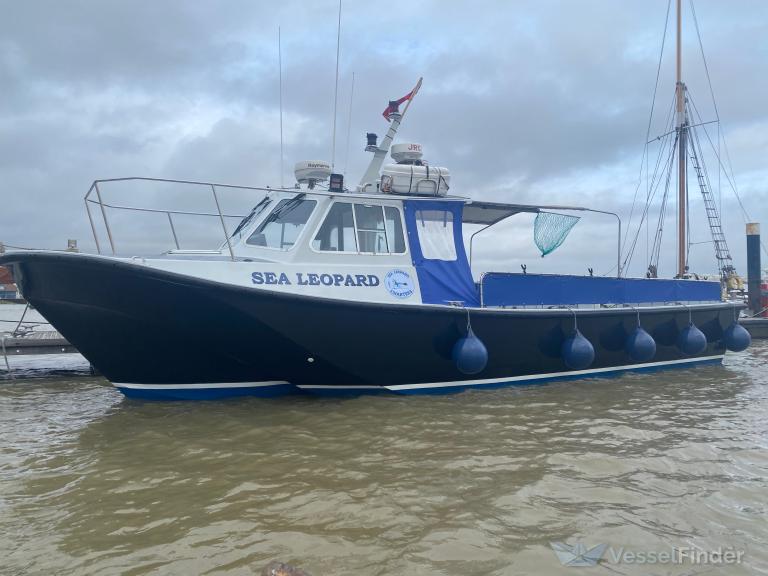 SEA LEOPARD photo