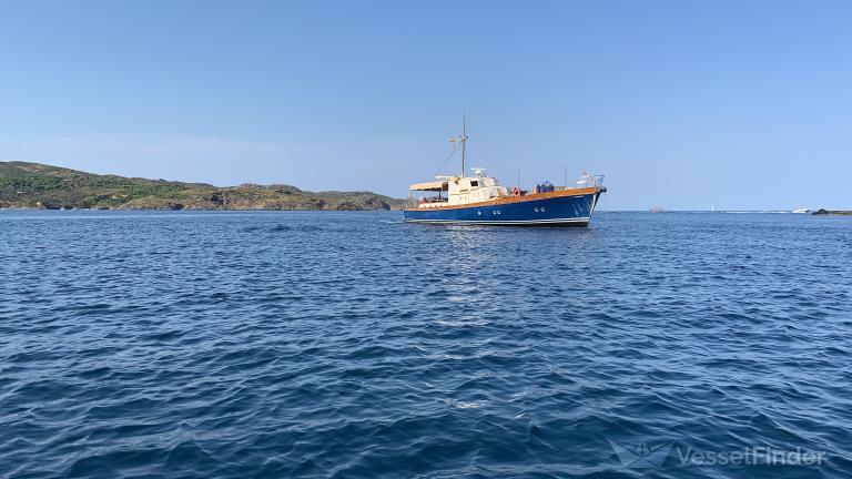 WOODPECKER OF POOLE photo