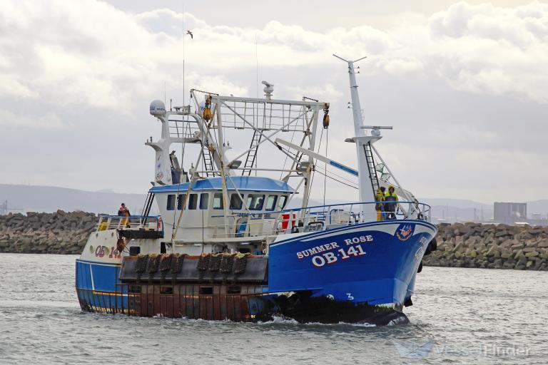 SUMMER ROSE OB141 photo