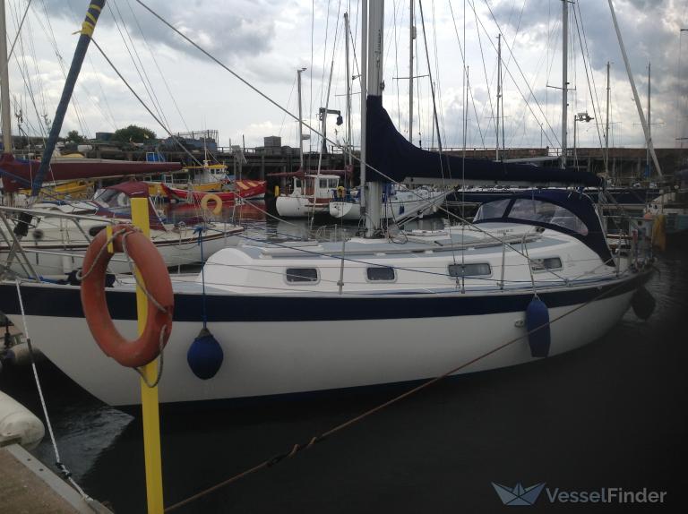 VERITY photo