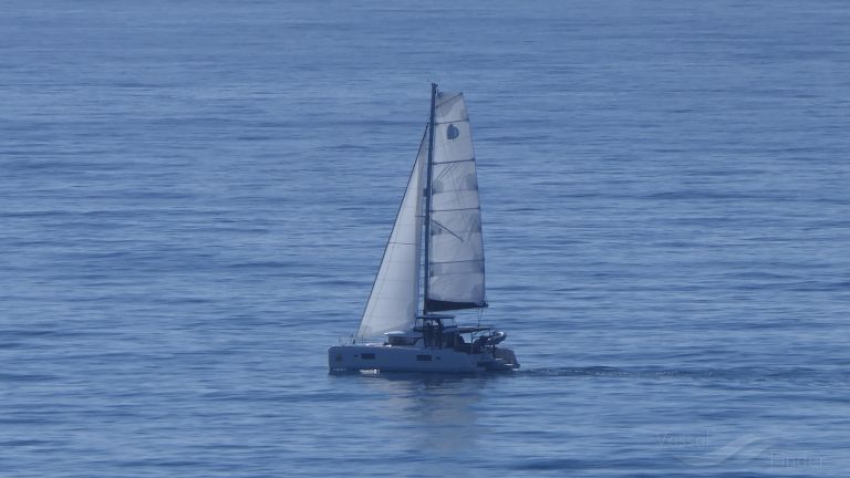 TOP CAT OF LONDON photo