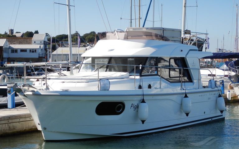 PIGLET...OF OAK WOOD photo