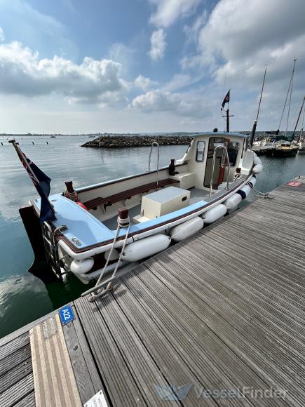 PARKSTONE PEARL photo