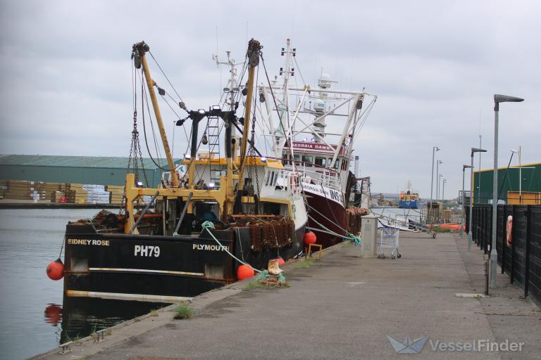 MFV SIDNEY ROSE