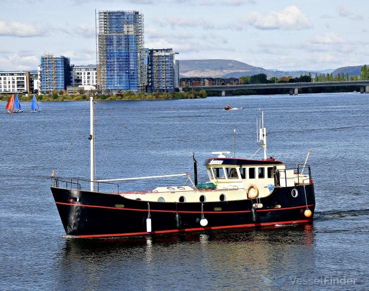 WISDOM photo