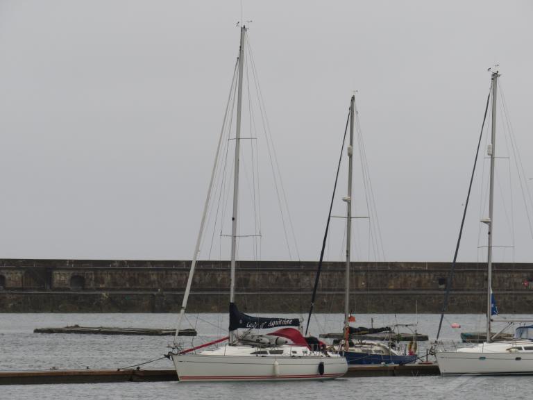 LADY OF AQUITAINE photo