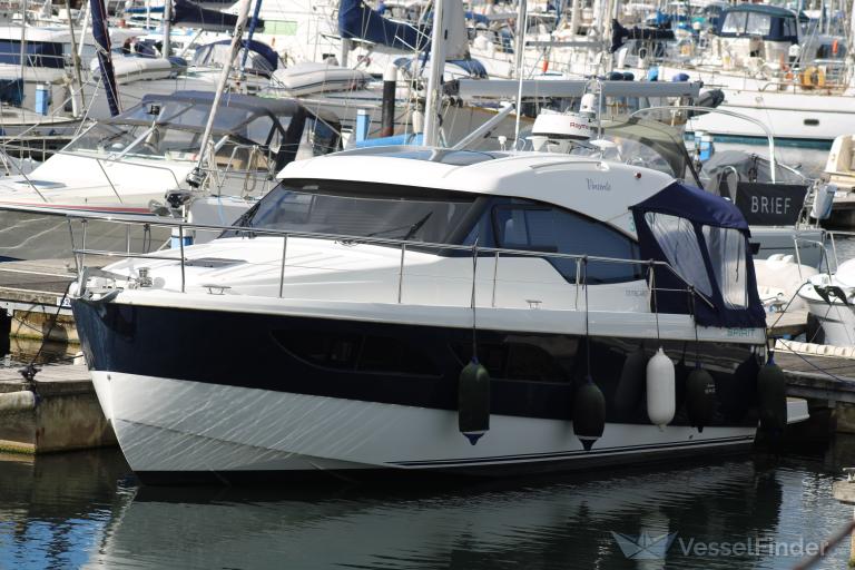 BOB THE MAGNIFICENT photo