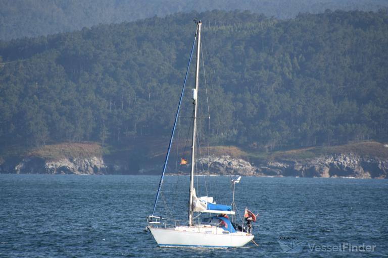 QUEEN B OF ARNE photo