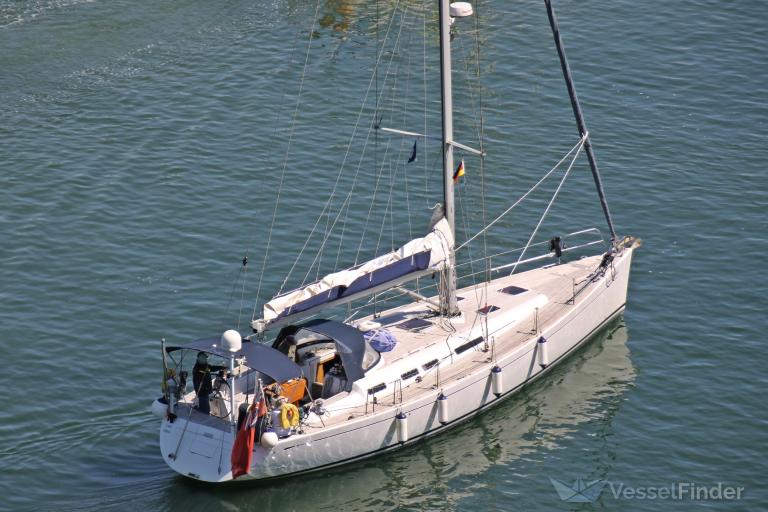 GRAND DELPHINI photo