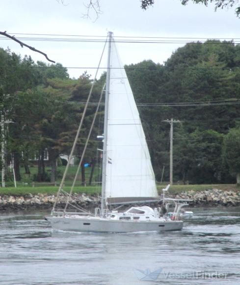 POSITIVE WAVES photo