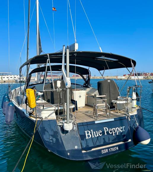 BLUE PEPPER photo