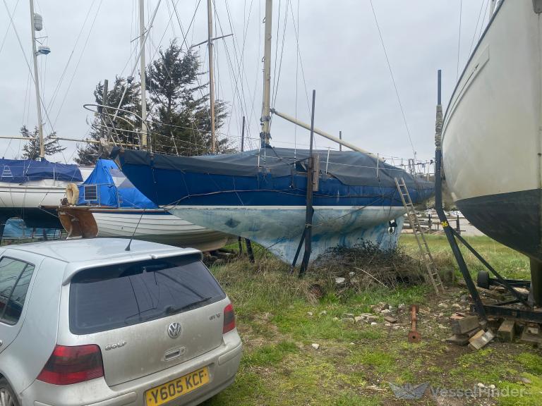 TOBIAS OF ESSEX photo