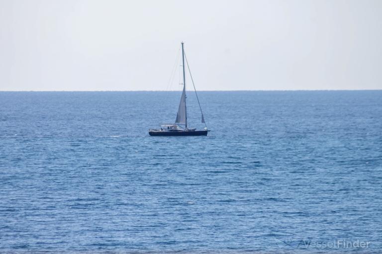 SEABIRD photo