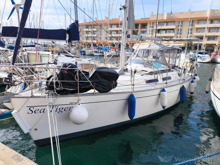 SEA TIGER photo