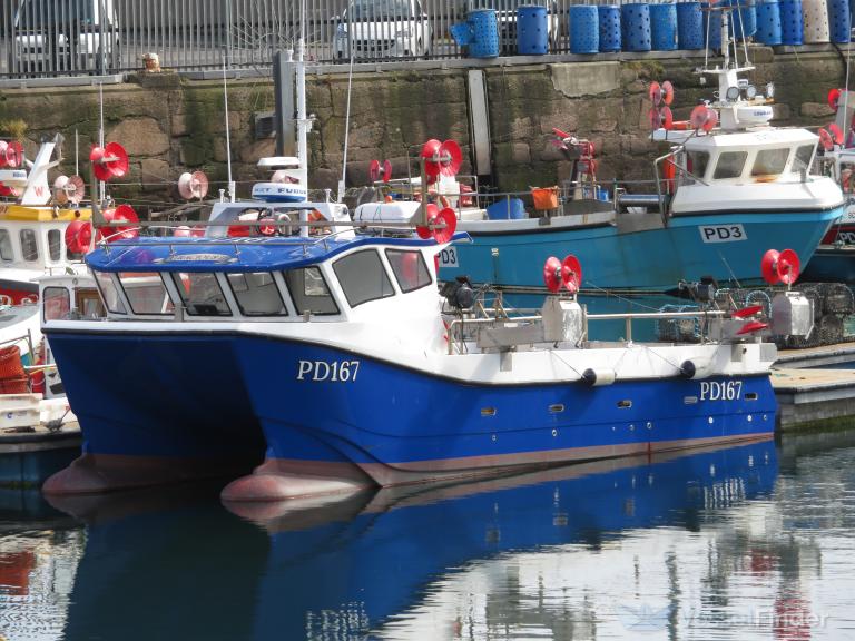 GRACIOUS II PD167 photo