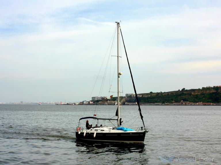 SAILING WITH SAL photo