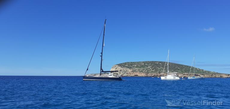 TORTUGA AZUL photo