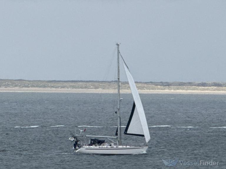 MISTRAL OF ITCHENOR photo